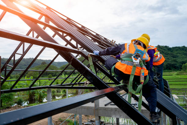 Best Roof Gutter Cleaning  in Roberta, GA