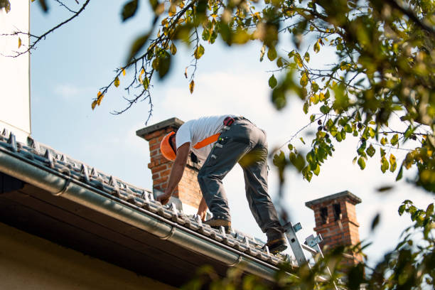 Best Tile Roofing Contractor  in Roberta, GA