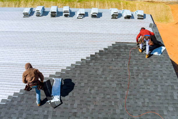 Best New Roof Installation  in Roberta, GA