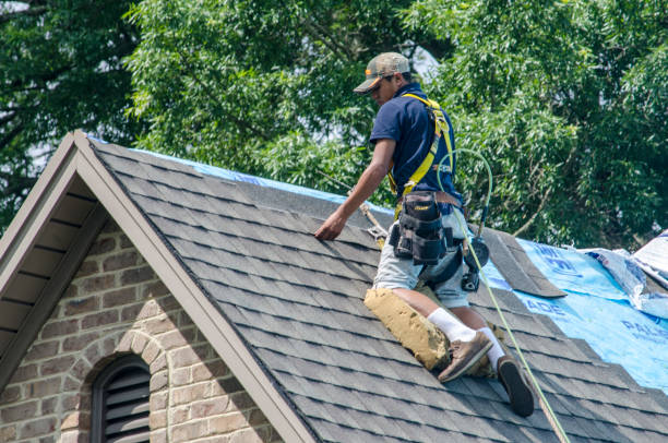 Best Roof Leak Repair  in Roberta, GA